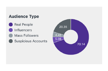 Pie Chart of audience type by real people, influencers, mass followers and suspicious accounts
